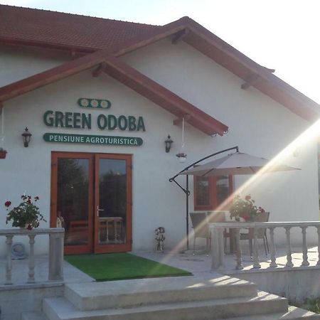 Pensiunea Agroturistica Green Odoba Satuc Exterior foto