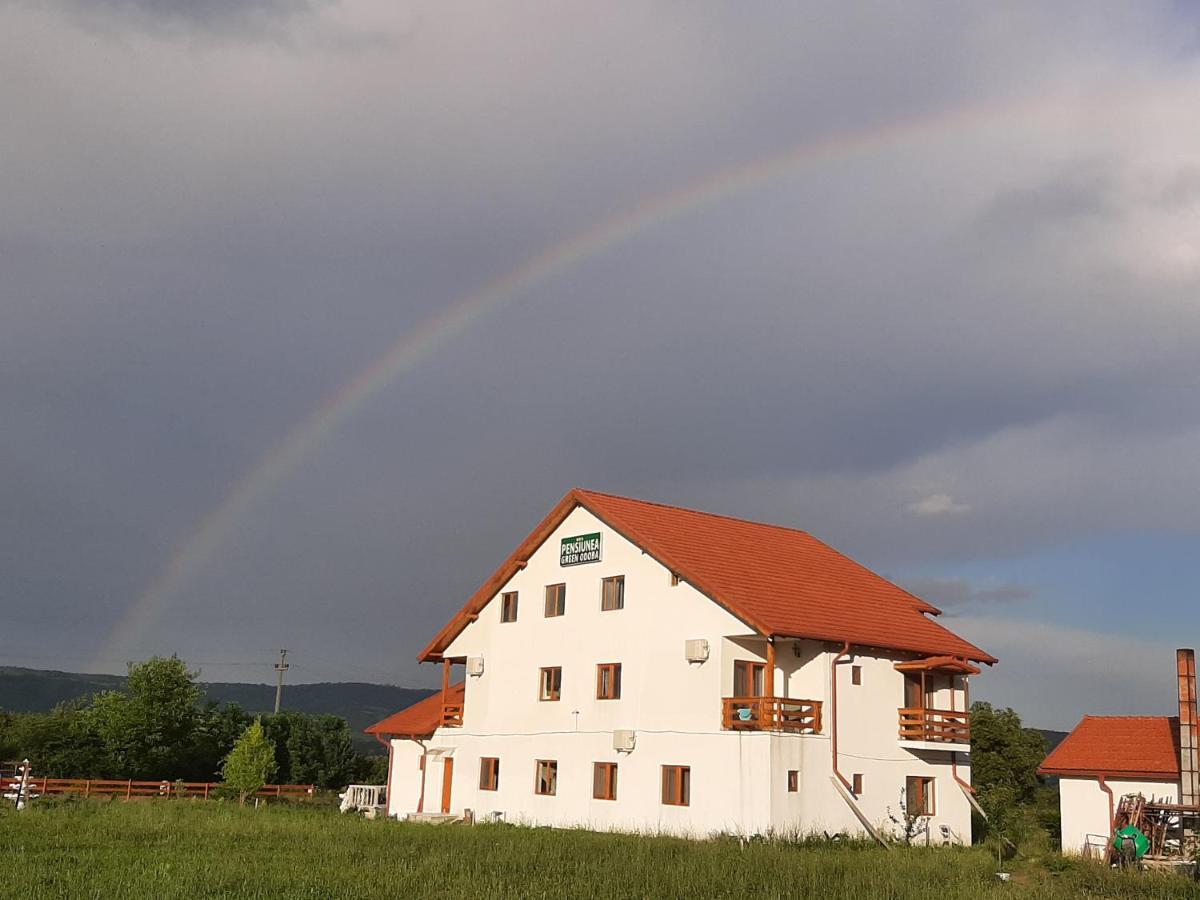 Pensiunea Agroturistica Green Odoba Satuc Exterior foto