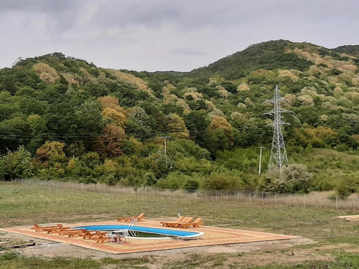 Pensiunea Agroturistica Green Odoba Satuc Exterior foto