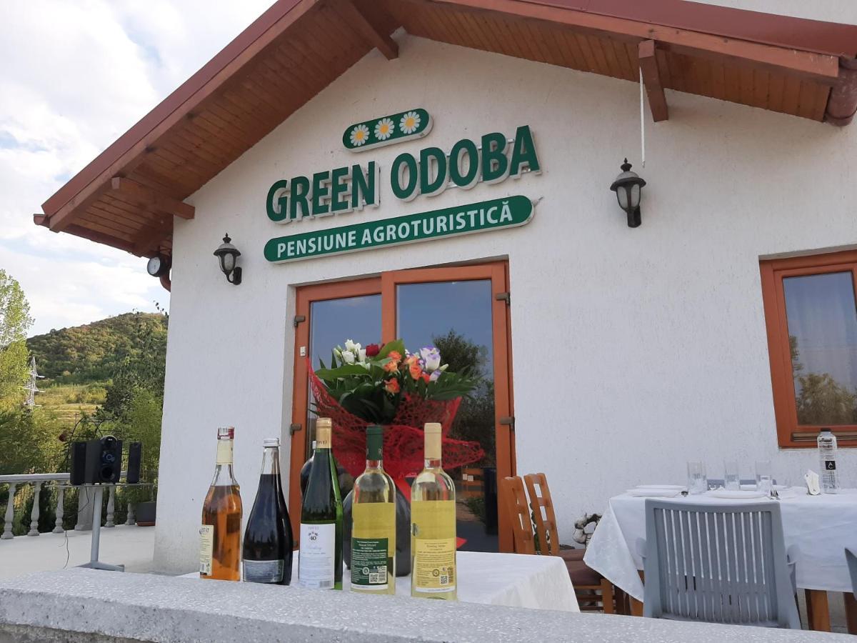 Pensiunea Agroturistica Green Odoba Satuc Exterior foto