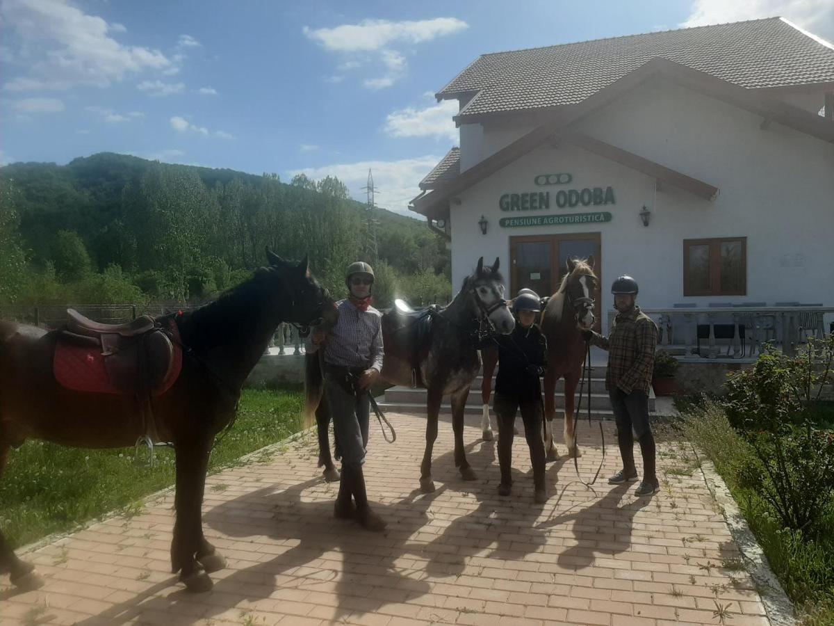 Pensiunea Agroturistica Green Odoba Satuc Exterior foto