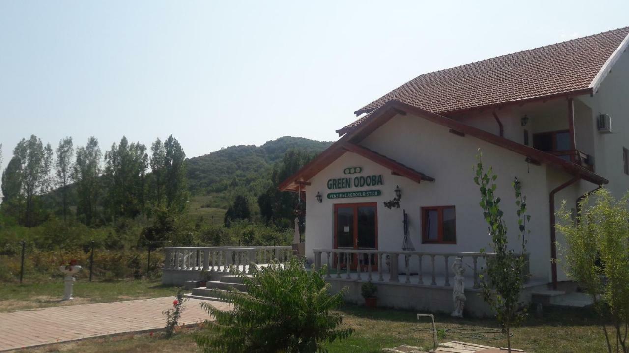 Pensiunea Agroturistica Green Odoba Satuc Exterior foto