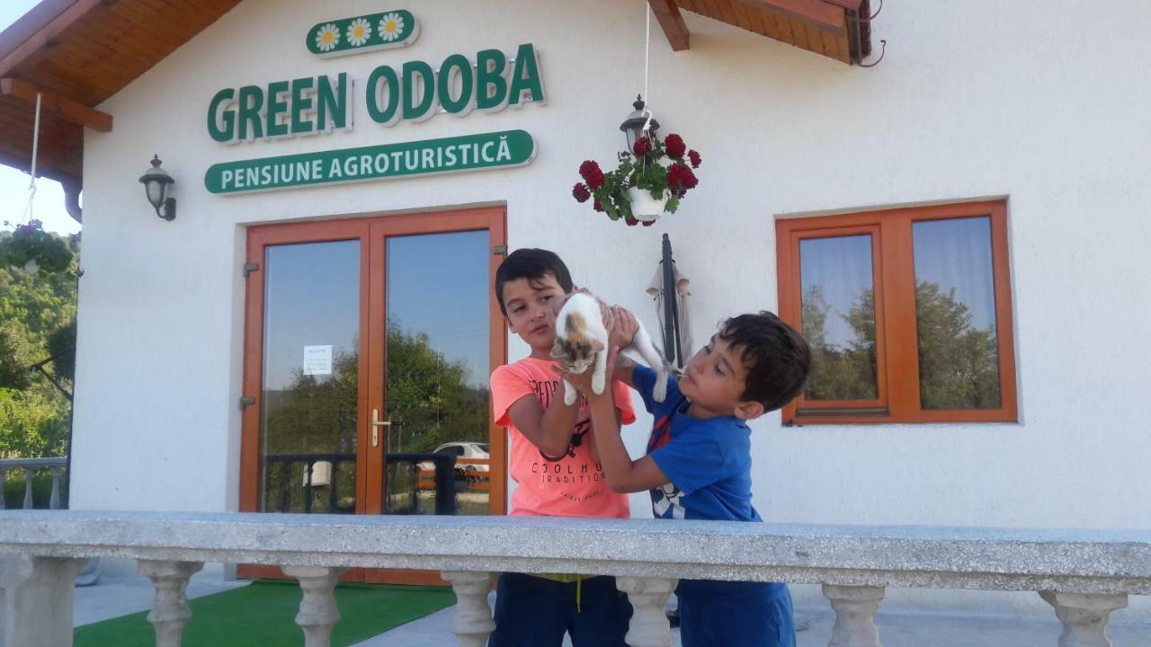 Pensiunea Agroturistica Green Odoba Satuc Exterior foto